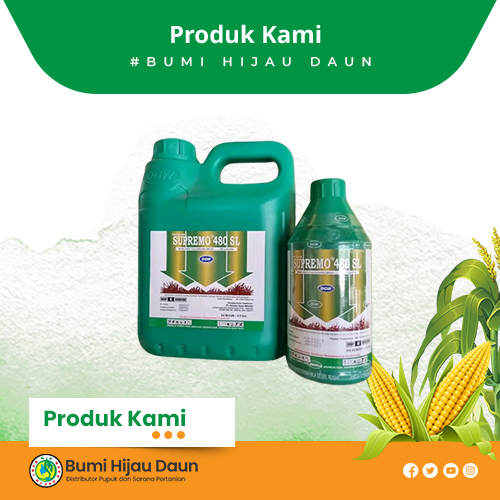 Produk Bumi Hijau Daun (1)