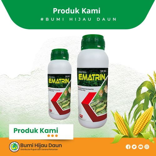 Produk Bumi Hijau Daun (10)