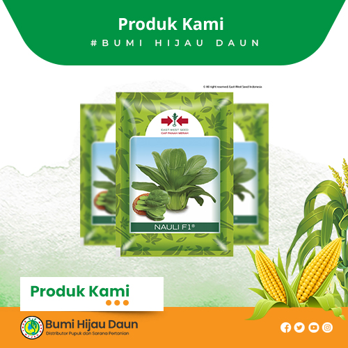 Produk Bumi Hijau Daun (18)