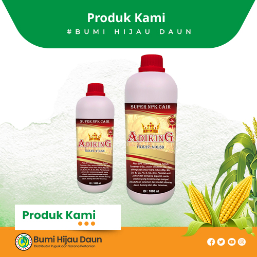 Produk Bumi Hijau Daun (19)