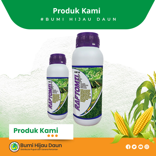 Produk Bumi Hijau Daun (2)