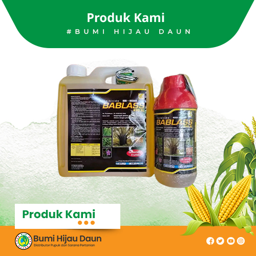 Produk Bumi Hijau Daun (20)