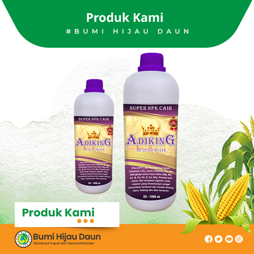 Produk Bumi Hijau Daun (23)