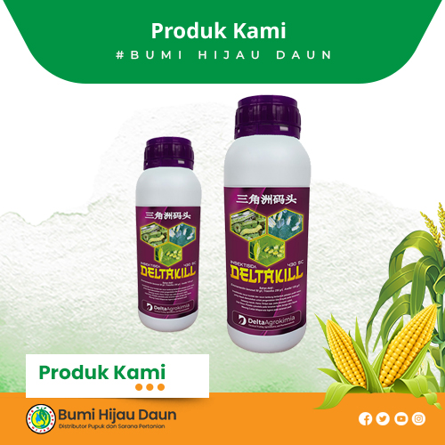 Produk Bumi Hijau Daun (24)