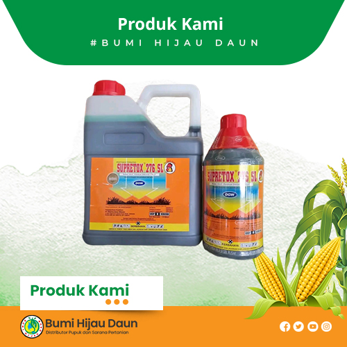 Produk Bumi Hijau Daun (25)