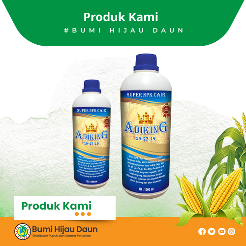 Produk Bumi Hijau Daun (26)