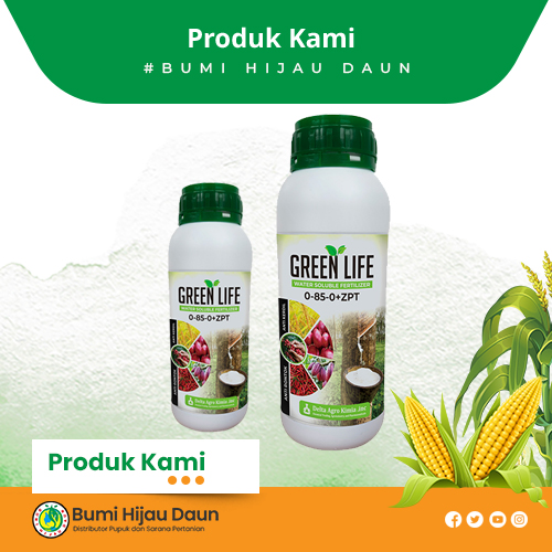 Produk Bumi Hijau Daun (30)