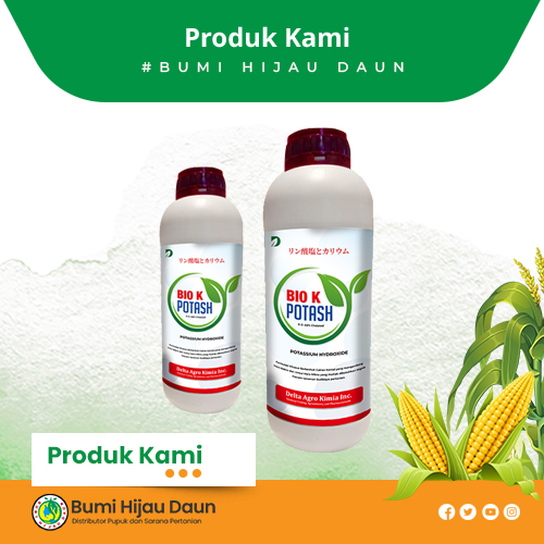 Produk Bumi Hijau Daun (6)