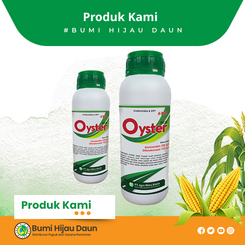 Produk Bumi Hijau Daun (8)