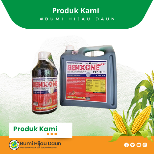 Produk Bumi Hijau Daun (9)