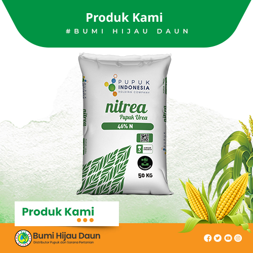 Produk Pupuk Bumi Hijau Daun (33)