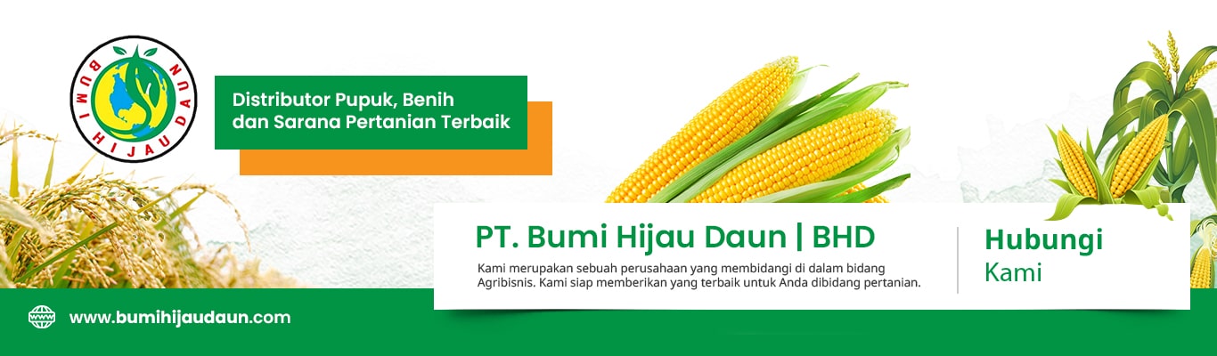 Sub-Header-Mobile-terbaru-min